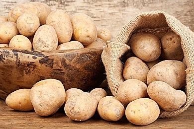 《二之国2 幽灵国度 完全版》登陆Xbox＆PC 全DLC收入